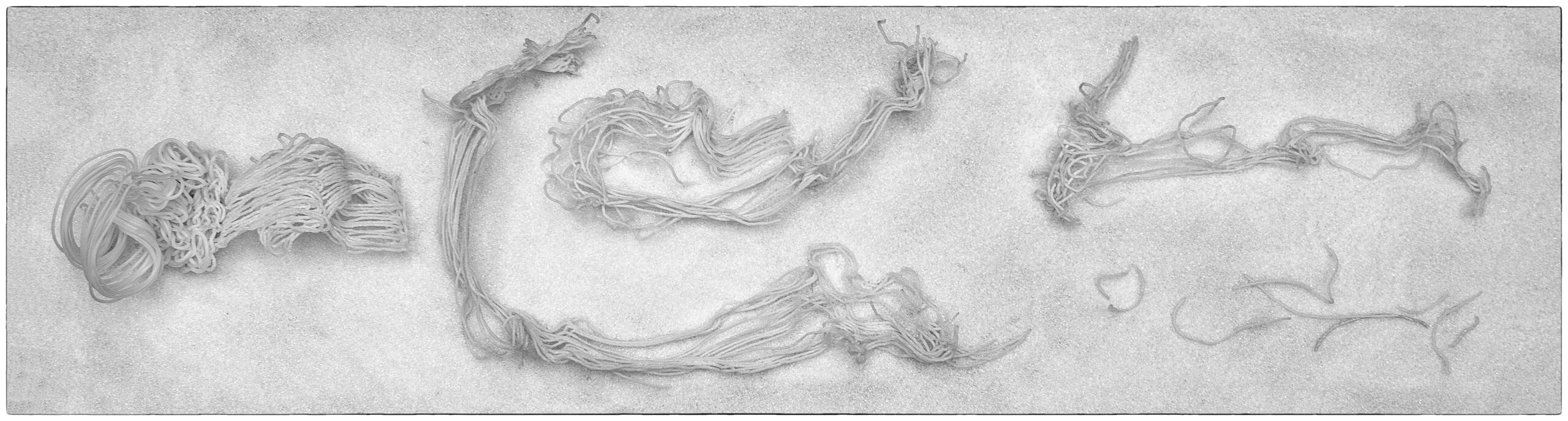 Skeleton1 horizontaal